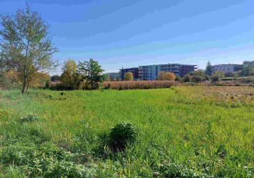 Nie będzie kanału ulgi. Czy powstanie 4-kilometrowy park? Czas na ochronę tego terenu przed zakusami deweloperów