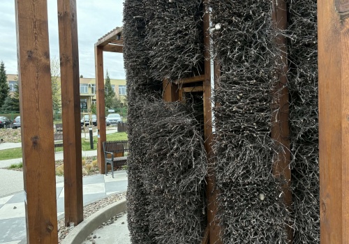 Dlaczego elementy parku kieszonkowego oraz tężnia na Stawkach zostały kolejny raz uszkodzone?