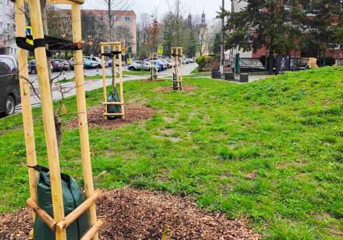 Racibórz stawia na nowoczesną pielęgnację zieleni