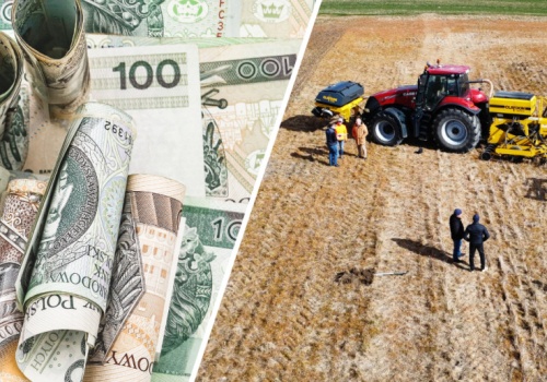 „Nie chcemy jałmużny”. Rolnicy żądają zmian systemowych