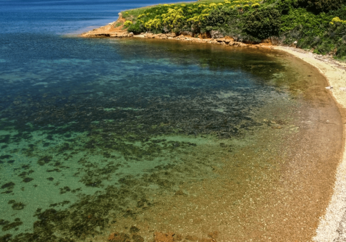 Już nie Chorwacja. Do tego kraju w tym roku Polacy będą jeździć samochodem