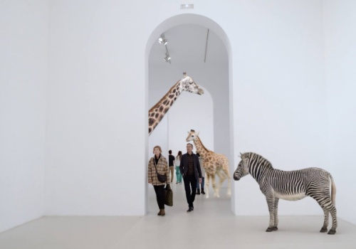 Zbliża się 25. Międzynarodowy Festiwal Fotografii w Łodzi. Sprawdź, co w programie