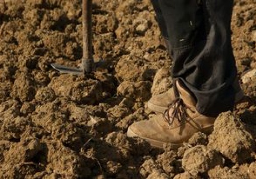 Jeździł autem po polach. Ogromne straty. Policja szuka kierowcy