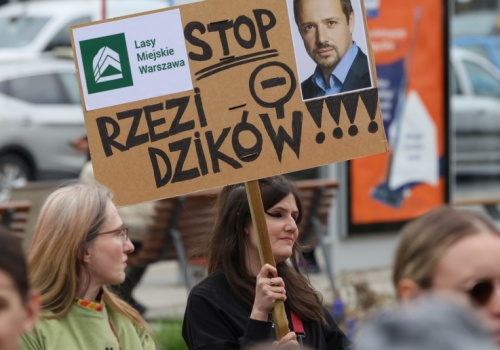 Ponad 3 tys. dzików w stolicy. Warszawa powoła zespół ekspertów w tej sprawie