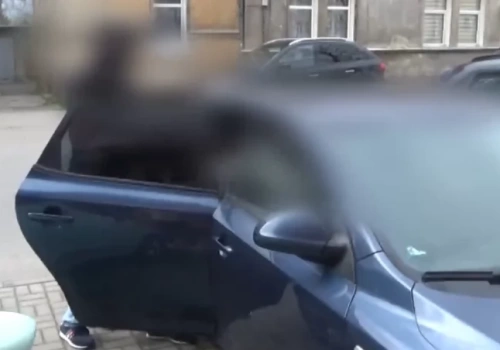Nie ma aresztu za brutalny film z Bystrzycy Kłodzkiej. Sprawcy już są na wolności