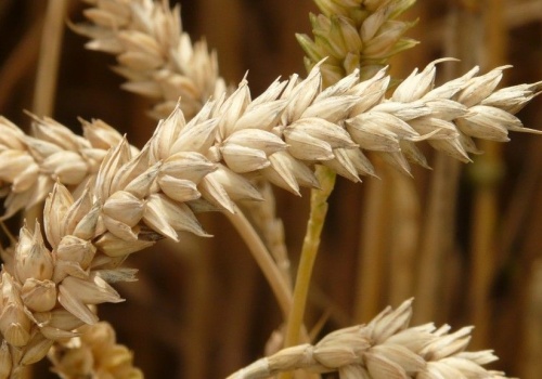 Rosja atakuje ukraińskie porty, kluczowe dla bezpieczeństwa żywnościowego