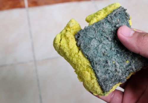 Rak gąbki kuchennej sieje postrach. Onkolog wyjaśnia: to jest prawdziwe ryzyko