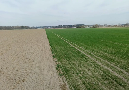 Nowy model dzierżawy państwowej ziemi. Więcej punktów, mniej swobody