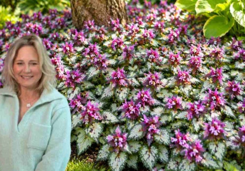 Zamiast trawy posadź TO. Patent Popielarskiej podbija sieć