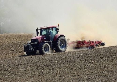 Susza glebowa w Polsce. Rolnicy wypatrują opadów