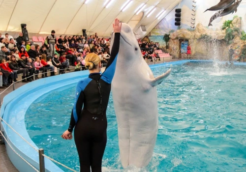 Koniec popularnej atrakcji dla turystów. Będą zmiany w ofertach