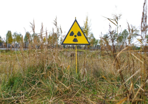 Skandal pod Czarnobylem. Uprawiali 190 ha w strefie skażenia i sprzedawali plony