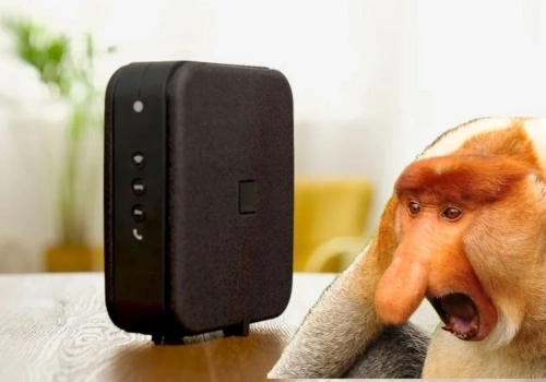 Rekordowa promocja na światłowód. Szybki internet tani jak barszcz