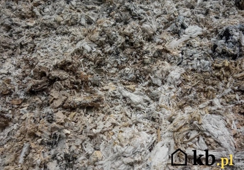 Popiół z kominka – darmowy nawóz czy ukryte zagrożenie?