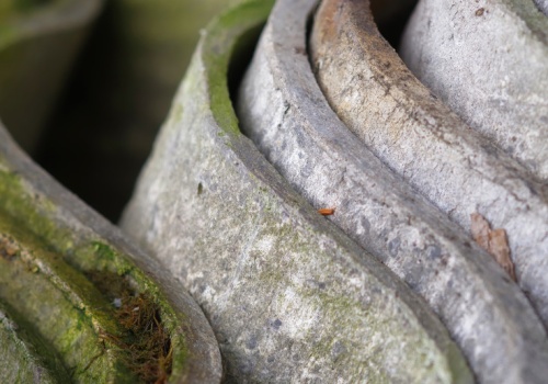 Kary to nawet 20 tys. zł. Takie usuwanie azbestu surowo wzbronione