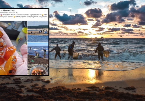 Wyjątkowe znalezisko nad Bałtykiem. Zdjęcia mają ponad 500 polubień