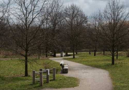 Park Krzycki najpiękniejszą inwestycją we Wrocławiu. Oto laureaci konkursu „Piękny Wrocław