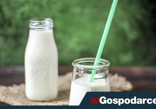 Wybierasz nabiał „light”? To nie zawsze idealne rozwiązanie