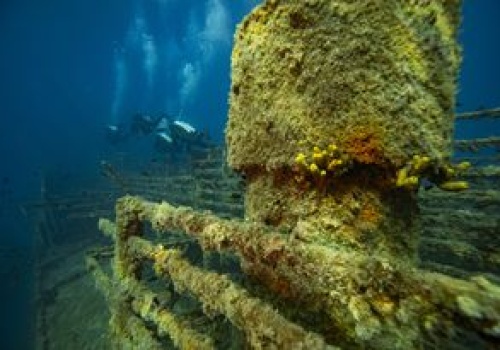 1,6 mln ton zalega w Bałtyku. Dla nich to raj