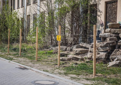 Ratują historię Ostrowa, która dziś jest ruiną (ZDJĘCIA)