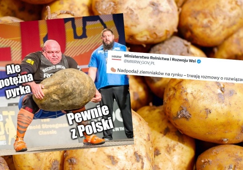 Polska Federacja Ziemniaka ostrzega przed niekontrolowanym napływem kartofli z innych krajów UE