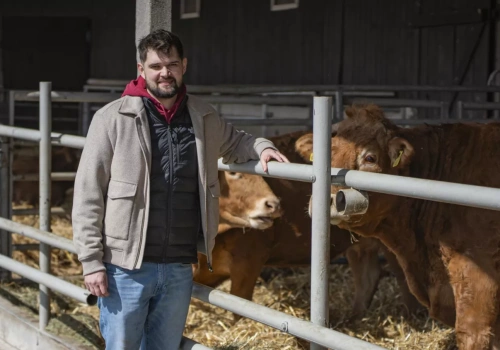 Po lepszą genetykę jeździ do Francji. Tak rozwija stado bydła mięsnego i sprzedaż odsadków