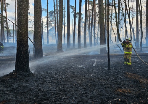Pożar w Parku Narodowym Bory Tucholskie. W akcji strażacy i samoloty gaśnicze