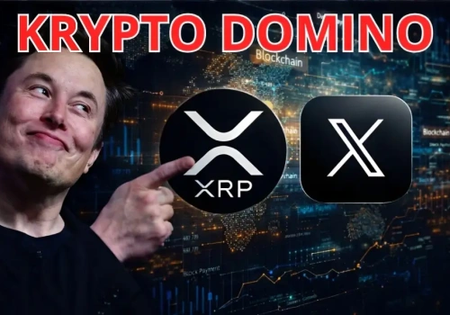 Elon Musk, XRP i XLM na jednej grafice. Ten ukryty kod zdradza wszystko!