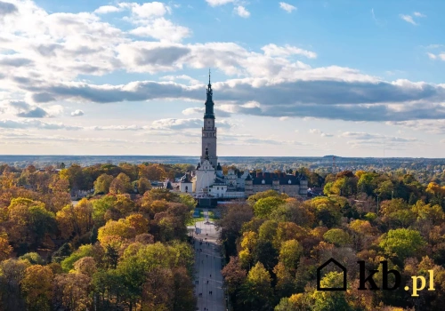 To miasto wyda aż 38 mln zł na zieleń w centrum. Szykuje się wielka inwestycja