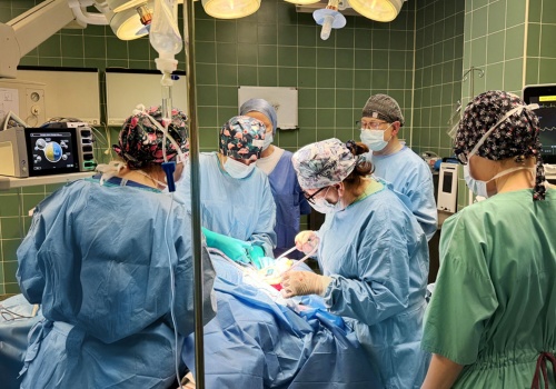 Przełomowy zabieg w Wojewódzkim Szpitalu im. Zofii z Zamoyskich Tarnowskiej. Pacjentka odzyska głos