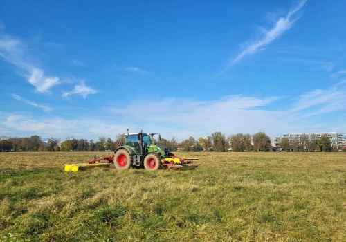 Jak często kosić trawę? Naukowcy z Uniwersytet Jagielloński mają jasną odpowiedź. To ważne dla alergików