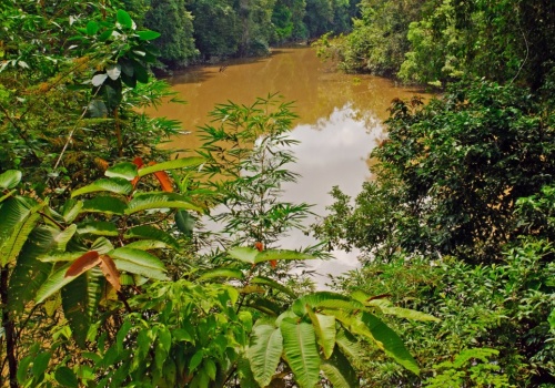 Nie tylko dżungla. Amazonia była centrum cywilizacji
