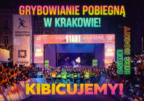 OSHEE Bieg Nocny. Mieszkańcy miasta i gminy Grybów na starcie