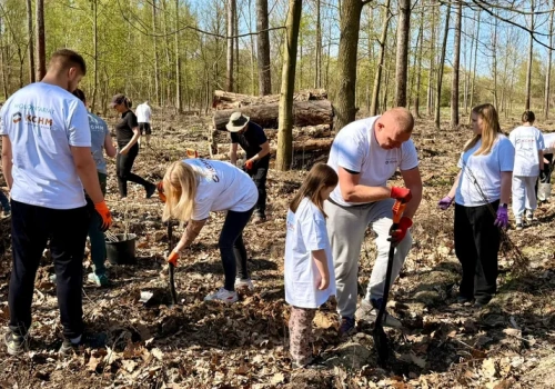 Wolontariusze KGHM posadzili drzewa przy Hucie Miedzi Głogów