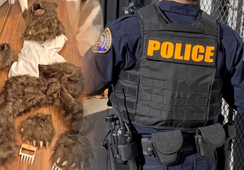 Przebierali się za niedźwiedzia i zniszczyli auta. Wyłudzili pieniądze