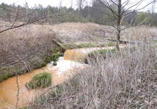 Kozi Bród przy Grabańce