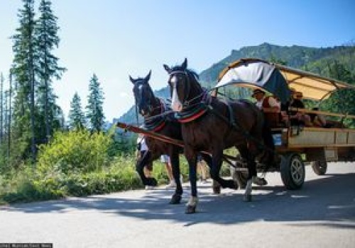 Majówka bez rewolucji na trasie do Morskiego Oka. Zostają wozy konne