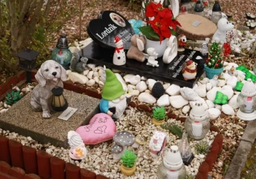 Psy, koty, żółwie, króliki, świnki morskie, chomiki i papużki. Wyjątkowy cmentarz pod Wrocławiem