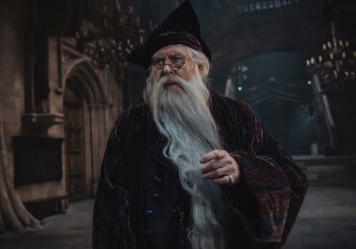 Te 7 postaci z Harry'ego Pottera po raz pierwszy trafi na ekran w serialu HBO