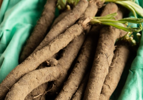 Zapomniane warzywo wraca na stoły. Smakiem zaskakuje bardziej niż szparagi