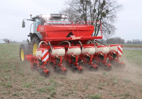 Sucho przed siewem kukurydzy i soi. Nie warto długo czekać na deszcz