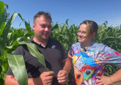 150 tys. zł z 5 hektarów. Rolnicy pokazują, jak zarobić na kukurydzy