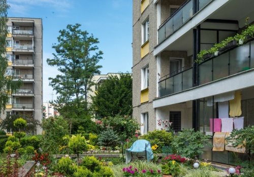 Masz ogródek pod blokiem? Te rośliny mogą ściągnąć na ciebie karę