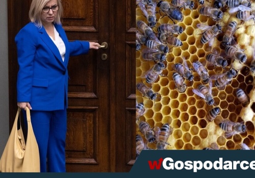 Uwaga, absurd! Pszczoły na celowniku minister klimatu
