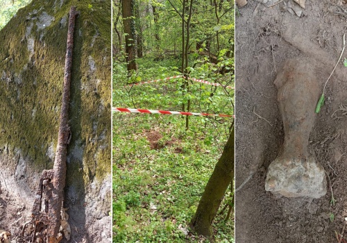 Poszukiwacze odkryli granat, pociski i karabin