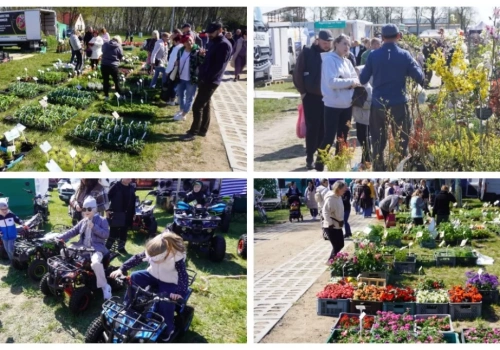 Rozpoczęły się Wiosenne Targi Ogrodnicze w Szepietowie