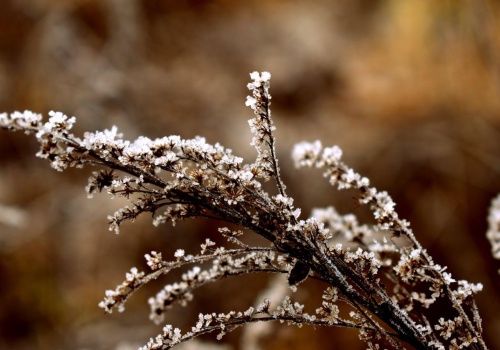 Alert I stopnia dla województwa podkarpackiego. Temperatura nas zaskoczy
