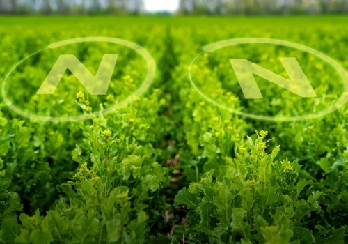 Bakterie azotowe a decyzja rolnika. Czego oczekują gospodarstwa i jak odpowiada na to ENCERA WG?