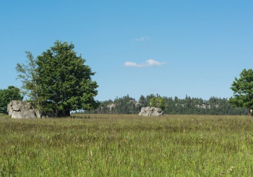 Afrykańskie klimaty w polskich górach. To miejsce przypomina sawannę. Dotrzesz w 30 minut