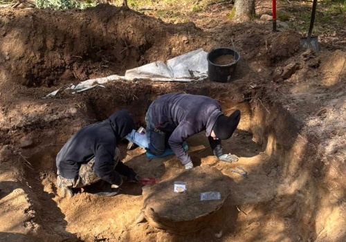 Niezwykłe odkrycie w polskiej puszczy. Artefakty mają około 2 tys. lat